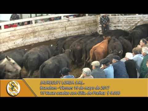 19-05-17 Venta de Vientre - Jáuregui y Lorda S.R.L. Brandsen.