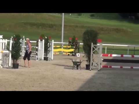 cs rüti / 2015 / 100 / dylane (by diarado x quidam de revel x argentinus), 5y