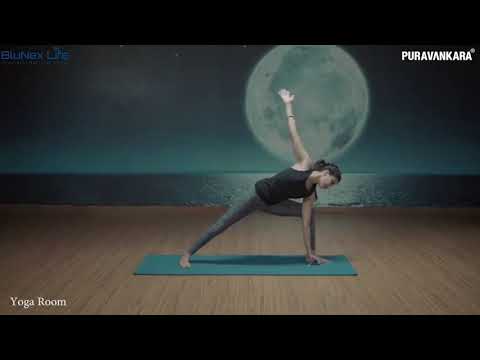 Purva Aspire Project Tour 1