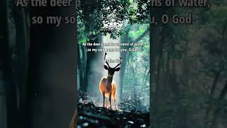 As the deer pants for streams of water | meditation on Bible| Jesus word of God | Sharing Gospel 🕊️