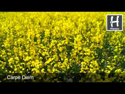 Carpe Diem - Piosenki harcerskie