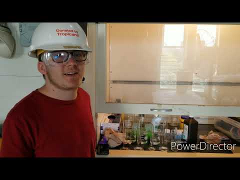 University of Florida Chem-E-Car in the Spotlight - 2019 Annual Student Conference