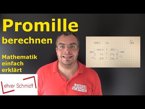 Calculating blood alcohol content | Mathematics - simply explained | Lehrerschmidt