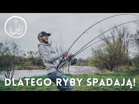 ❓Jak dobrać wędkę na szczupaka, bolenia czy sandacza❓▪️Wędkarstwo spinningowe ▪️