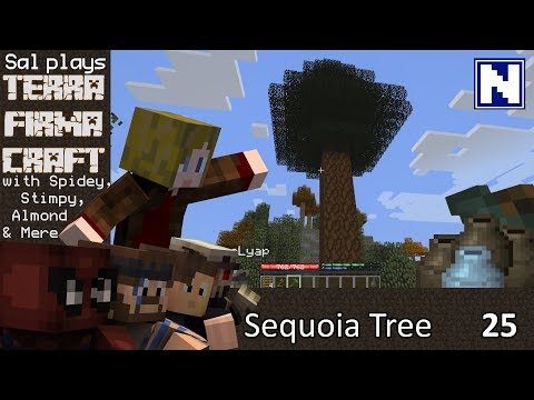 S1E25 Sal Plays Terrafirmacraft - Sequoia Tree