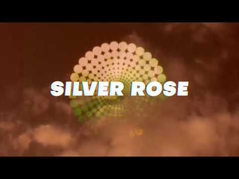 Silver Rose - Luz