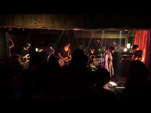 160827 cat in the case. @小地方APAmini