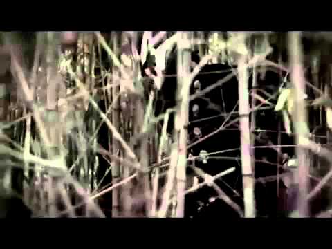 Willow Waly 2014 Titantron