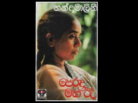 wassakata ida  /  nanda malani