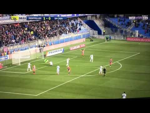 Ce Bambi marque contre son camp (PAUL BAYSSE LE NOUVEAU VALERE GERMAIN ?)