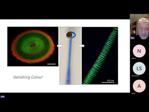 Structural Color in Nature: Peacock Feathers, Iridescent Bacteria and Hoekmine with Dr. Colin Ingham