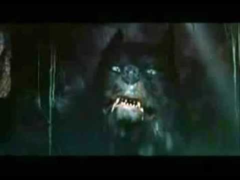 La Storia Infinita: è più facile dominare chi non crede in niente