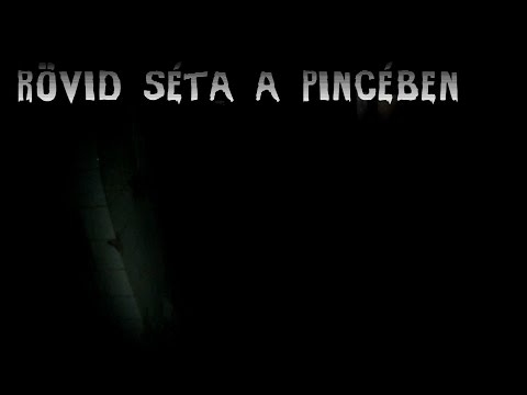 Rövid séta a pincében! - Elhagyott helyek 8.rész - Nagyvásártelepi pincerendszer 1/?