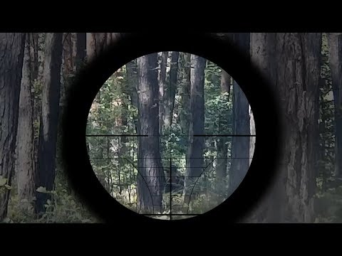 Airsoft Sniper M40A3 Gameplay