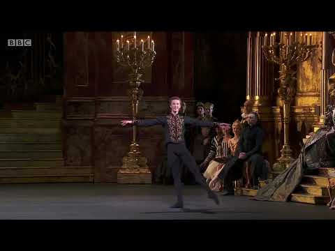 Swan Lake - Prince Siegfried Variation Act 3 - Vadim Muntagirov