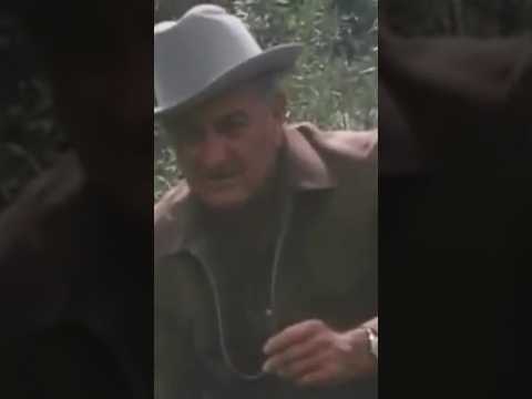 LBJ entendeu o PODER #história #presidente #lbj