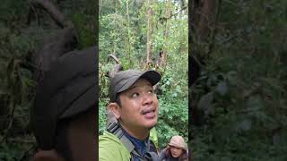 Download lagu stay alert in a place like this mp3