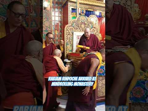 Rabjam Rinpoche Arrived at Mindrolling monastery for Kama Transmission     #Buddha #tibetanbuddhism