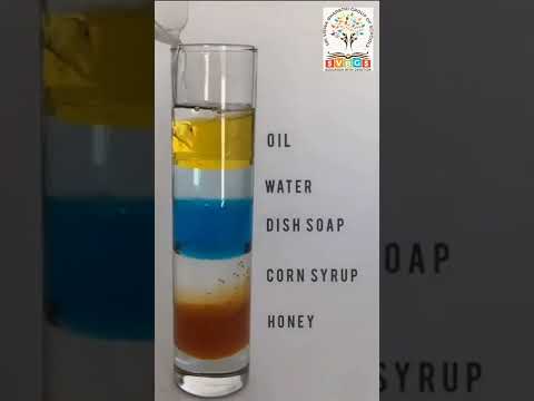 The Density of Different Liquids a fun science experiment that deals with density of various objects