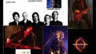 APC - Lovesong/Diary Of A Madman