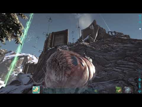 Ark  Official PVP | ADC | Raid Extinction