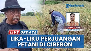Petani Kreatif Cirebon Usman Effendi Galau, Pupuk Organiknya Belum Diakui Pemerintah Daerah