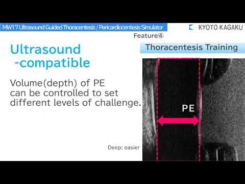 MW17 Ultrasound Guided Thoracentesis Pericardiocentesis Simulator MW4 MW4A MW15