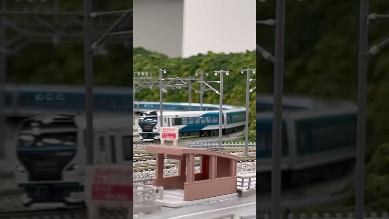 カッコE257系2000/2500番台 #train #鉄道 #nゲージ #鉄道模型 #特急踊り子 #西イケ #e257系2000番台 #e257系2500番台