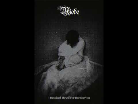 Niobe - I Despised Myself For Hurting You