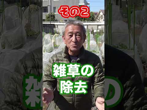 堆肥に含まれる有益な昆虫と非有益な昆虫は何ですか?  庭園