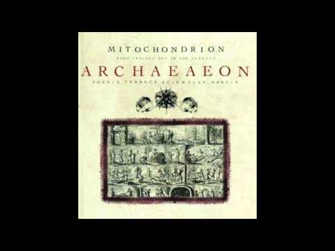 Mitochondrion - Eternal Contempt of Man