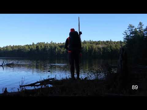 Surviving + 50 + Hours + Under + a Rock with No Food