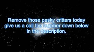 Pest Control Winslow 844-370-8545