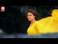 Ruk Ja O Dil Deewane Best New Whatsapp Status By Rafik Ashrafi