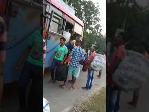 bishoy pur bas tan Bona mala