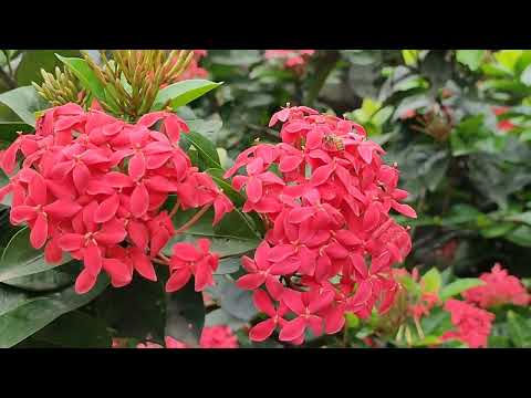 what a creation of God!