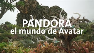 Pandora en 4K, el mundo de AVATAR en Disney | Alan por el mundo