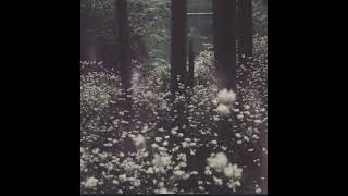 call me when it’s over- rockie fresh fast