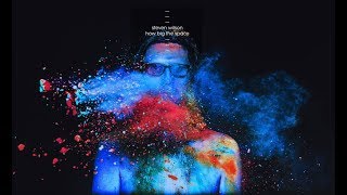 How Big the Space - Steven Wilson - (RSD 2018)