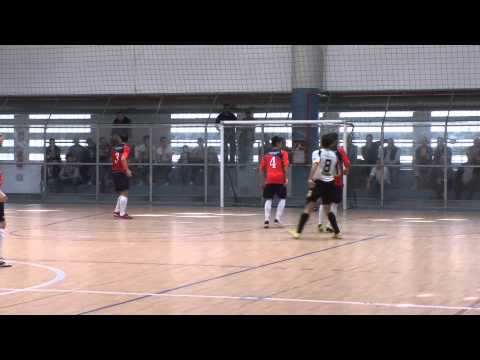 Fenalc - Top Five 8-5