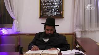 השמחה של פורים | בתורת הגאון הינוקא | הרב שלום פרקש