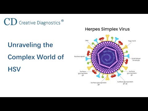 Unraveling the Complex World of HSV