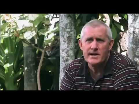 BUSTIN DOWN THE DOOR  Official TRAILER