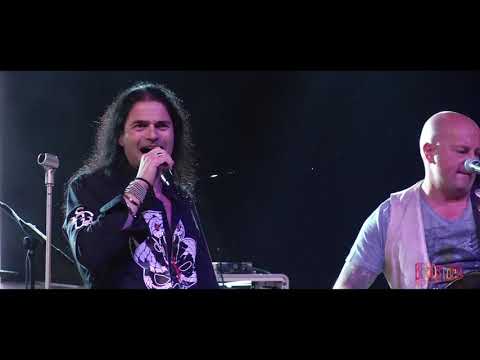 22° BRUDSTOCK - WHORESNAKE