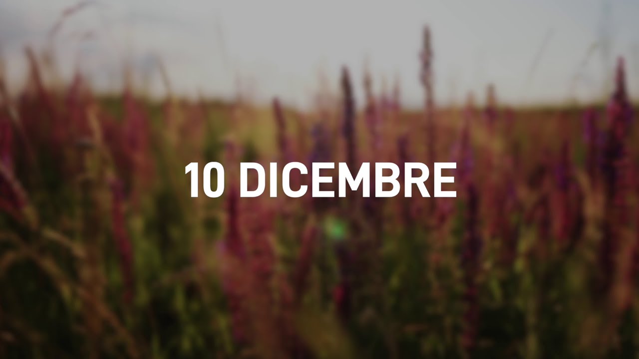 10 Dicembre 2025 | Meditazione Parole di Vita