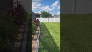 Video preview image #1 Beagle Puppy For Sale in Dunnellon, FL, USA