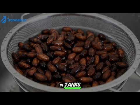 ☕ From Seed to Cup: The Life Cycle of Coffee 🌱