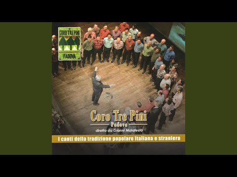 Il povero soldato (Live)