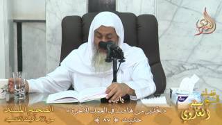 شرح الأحاديث القدسية باب (تحذير من تهاون في العمل في الآخرة ) ح 87 لفضيلة الشيخ مصطفى العدوي