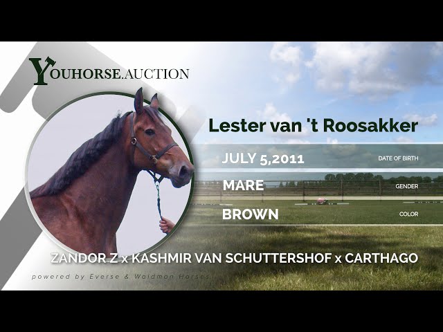 Lester van 't Roosakker